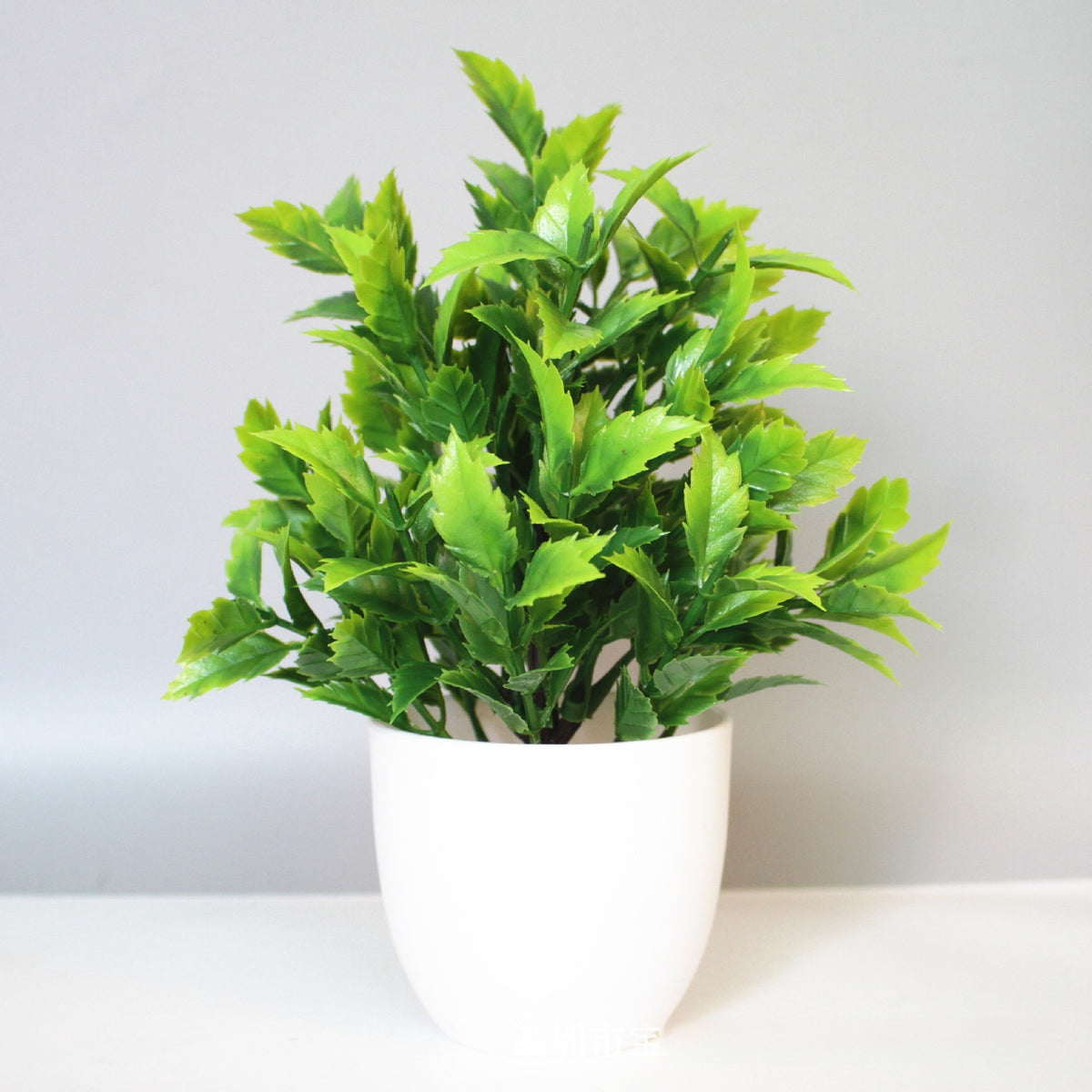 Mini Potted Faux Plant on a shelf