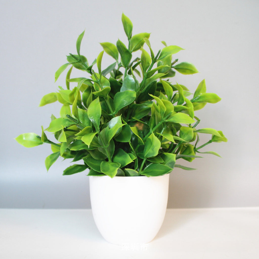 Mini Potted Faux Plant on a shelf