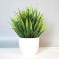 Mini Potted Faux Plant on a shelf